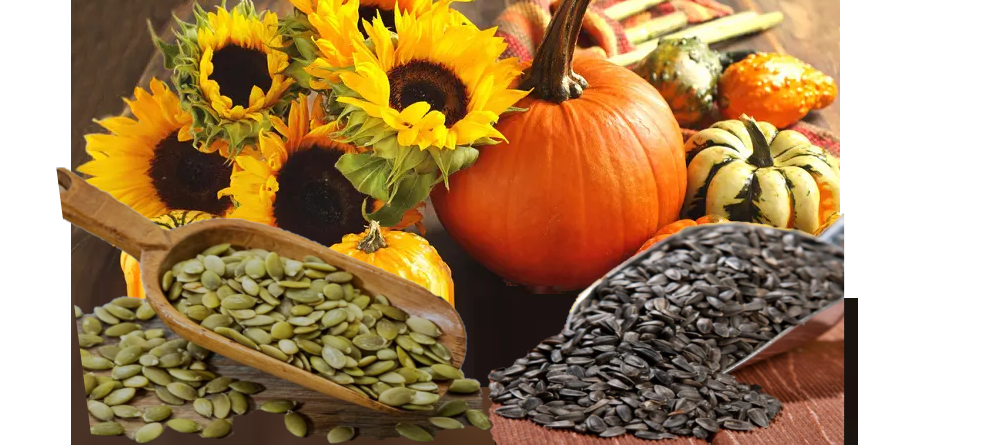 Sunflower Seeds ~ Семечки подсолнечные