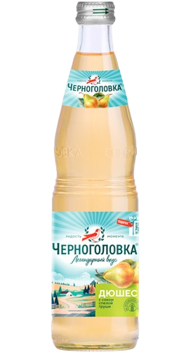 J13. Carbonated Drinks ~ Дюшес 0,5л*12шт