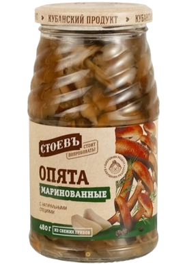 H00. Mushrooms ~ Грибы маринованные Опята 480гр*8шт